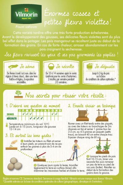Légumes Secs - Pois Mangetout Géant à Fleur Violette - 10 m - MEDIA_PACKAGING_VERSO